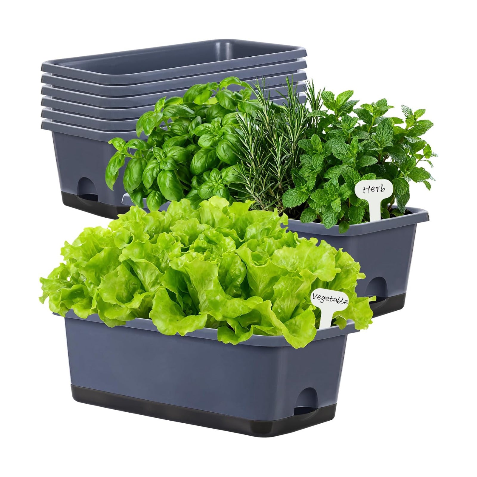 Window Box Planter 8 Pcs, 17 Inches Rectangle Flower Pots with Drainage Holes and Trays, Vegetable Planters for