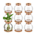 9 Packs Propagation Vases for Plants Plastic Plant Propagation Station with Hole Lid and Cork Coasters Plant Growing in