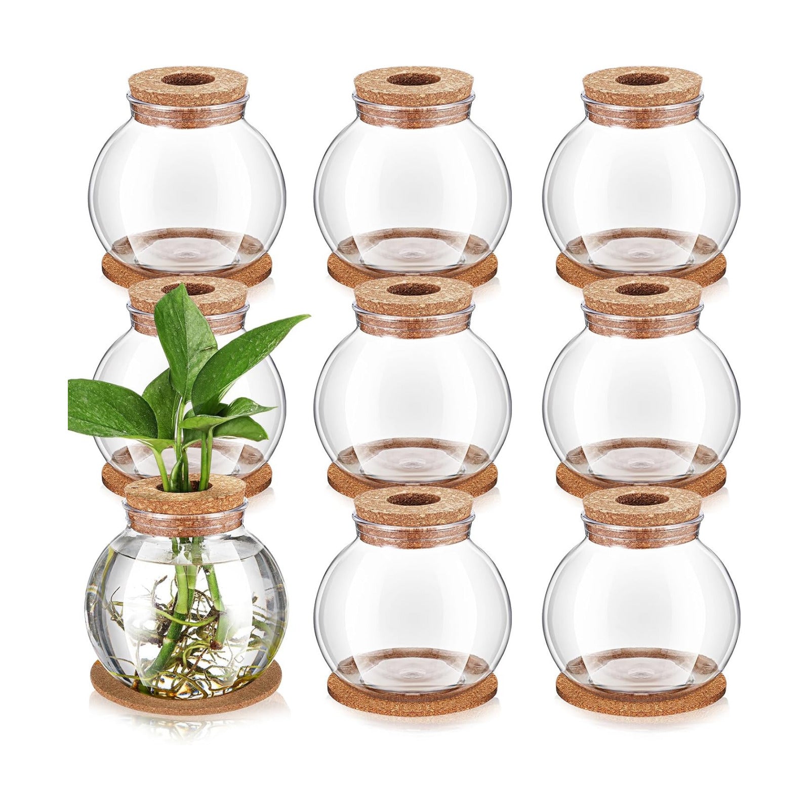 9 Packs Propagation Vases for Plants Plastic Plant Propagation Station with Hole Lid and Cork Coasters Plant Growing in