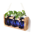 Plant Terrarium Propagation Stations Skull Planter Vase Skulls Decor