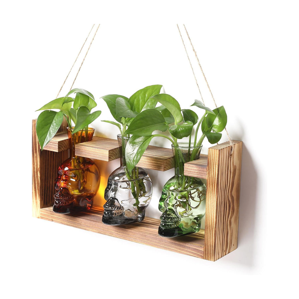 Plant Terrarium Propagation Stations Skull Planter Vase Skulls Decor | Hydroponics Halloween With Wooden Stand Gife for