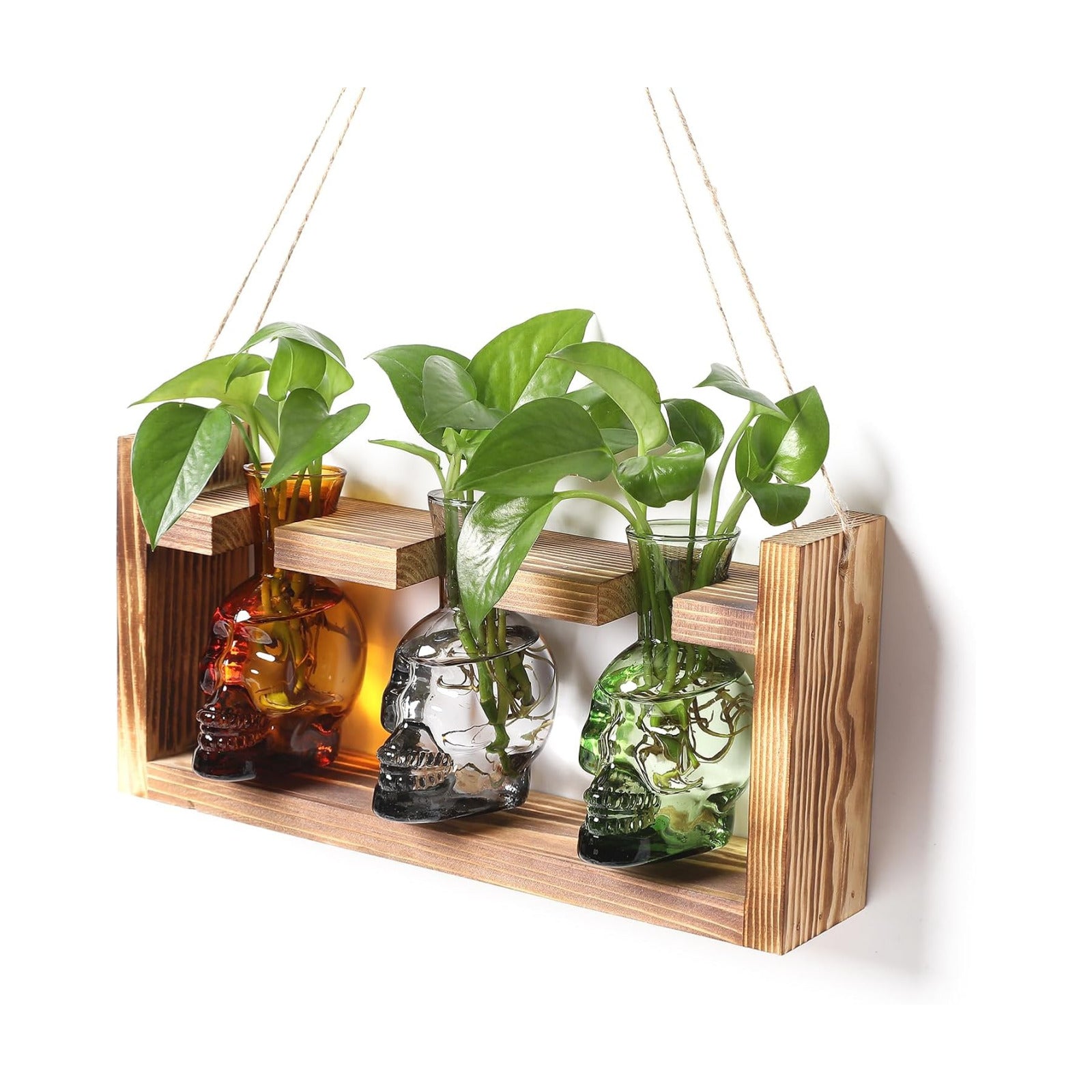 Plant Terrarium Propagation Stations Skull Planter Vase Skulls Decor | Hydroponics Halloween With Wooden Stand Gife for