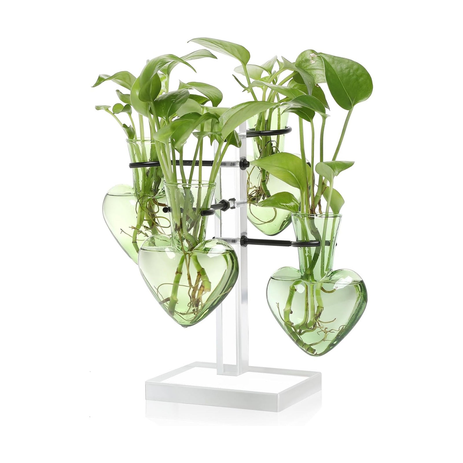 Plants Propagation Stations Plant Terrarium Kit Gift for Women | Birthday Glass Planters For Indoor Plants Home Office