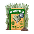 HOME GROWN White Sage Seeds, 323 Seeds, Salvia apiana