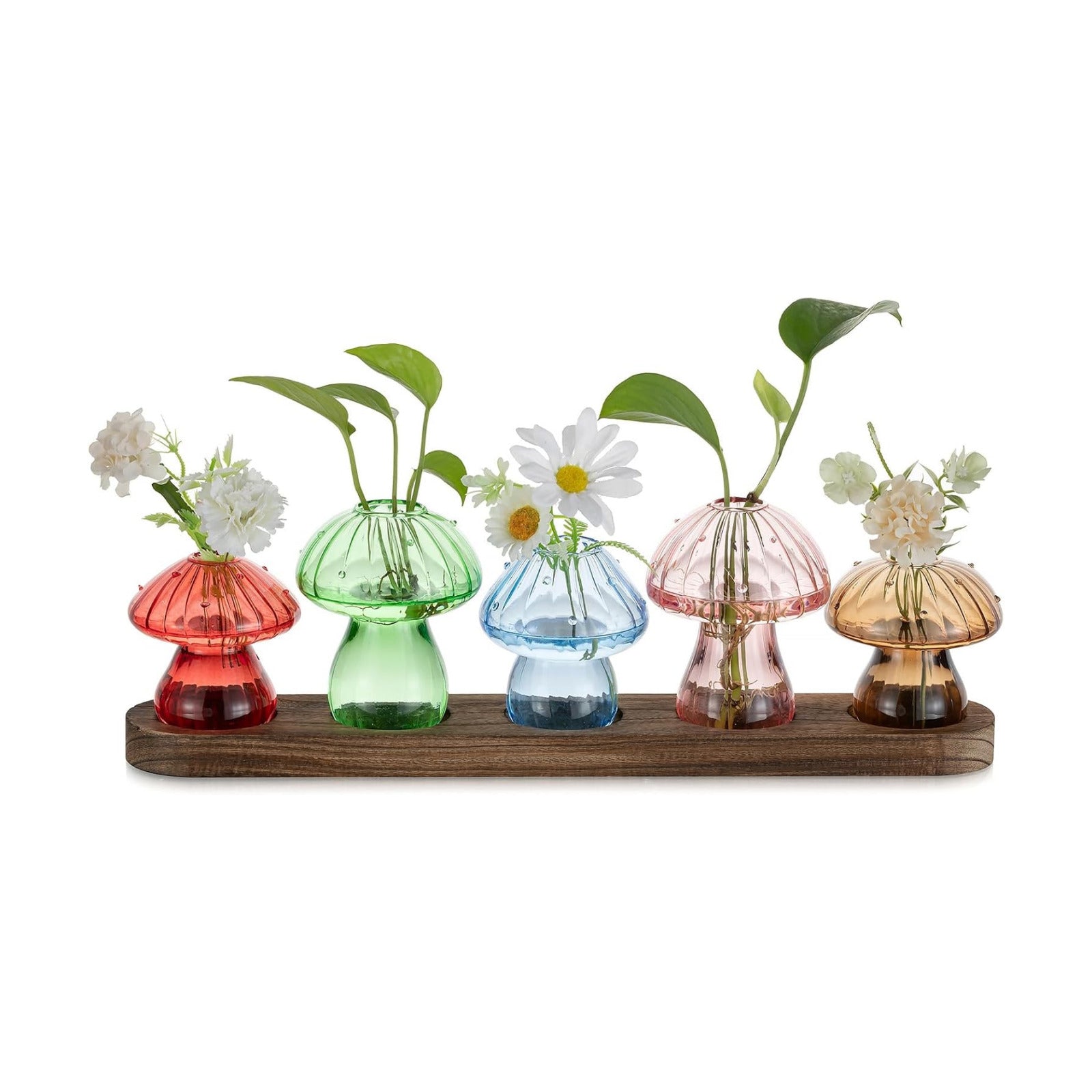Glasseam Mushroom Glass Plant Propagation Station with Wooden Stand 5Pcs | Colored Handmade Indoor Small Terrarium Jar