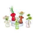 Glasseam Mushroom Plant Propagation Station, Set of 5 Glass Terrarium Jars | Colorful Handmade Small Hydroponic