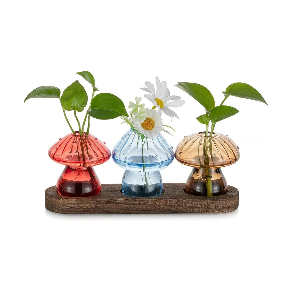 Glasseam 3Pcs Mushroom Propagation Station: Glass Terrarium Jar for Plants | With Wood Stand, Colorful Handmade