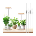 LORDEM Grow Lights for Indoor Plants with Base, Bamboo Design, Timer | 72 LEDs Full Spectrum Plant Lights, 4 Brightness