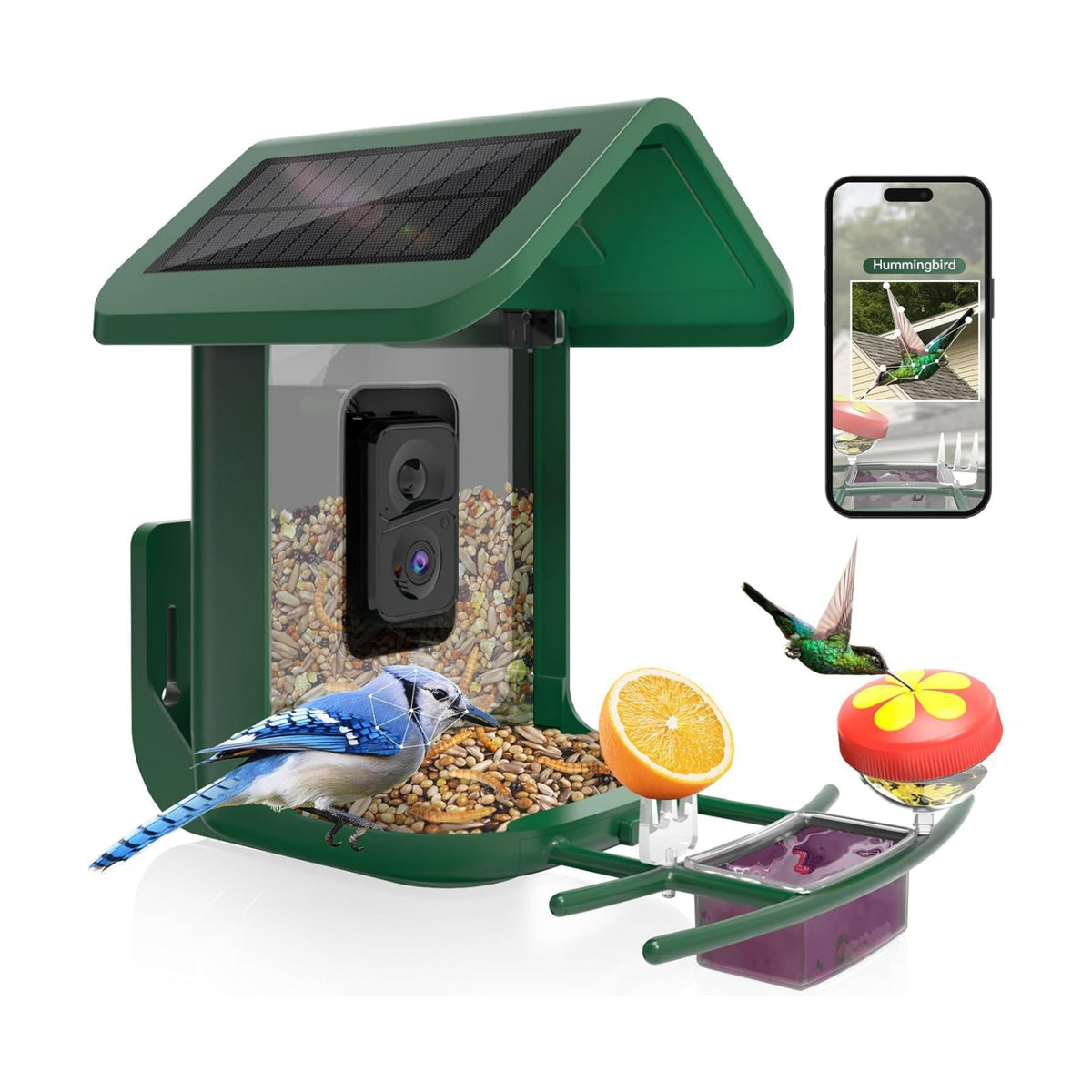 Smart Bird Feeder with Camera Solar Powered, 2K Live Stream for Backyard