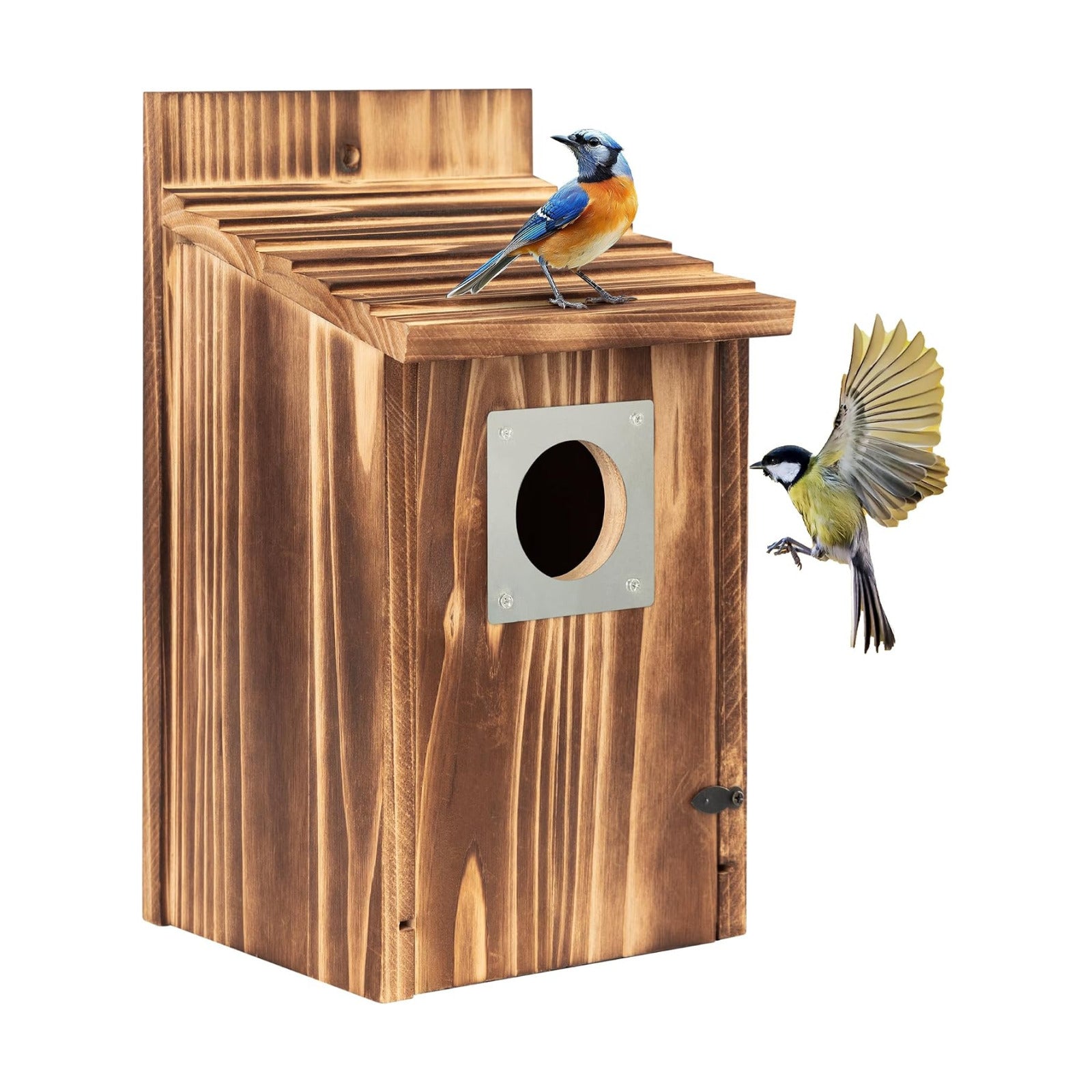 2 Pack Bird Houses for Outside with Metal Predator Guard for Bluebird Wren Swallow Finch, Carbonized Wooden Nesting