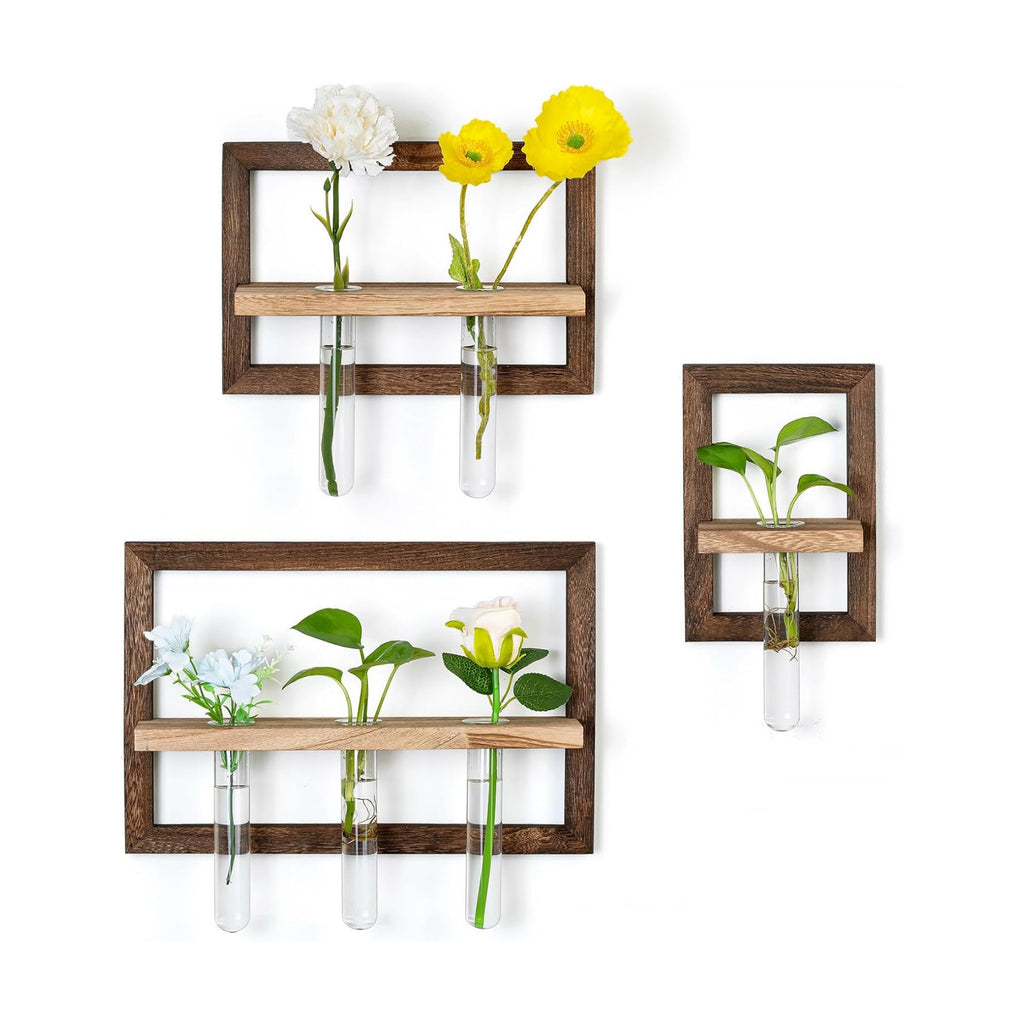 Wall Propagation Station Set with Glass Tubes | 3 Wood Wall Frames with 6 Borosilicate Glass Tubes for Plant Cuttings