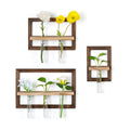 Wall Propagation Station Set with Glass Tubes | 3 Wood Wall Frames with 6 Borosilicate Glass Tubes for Plant Cuttings