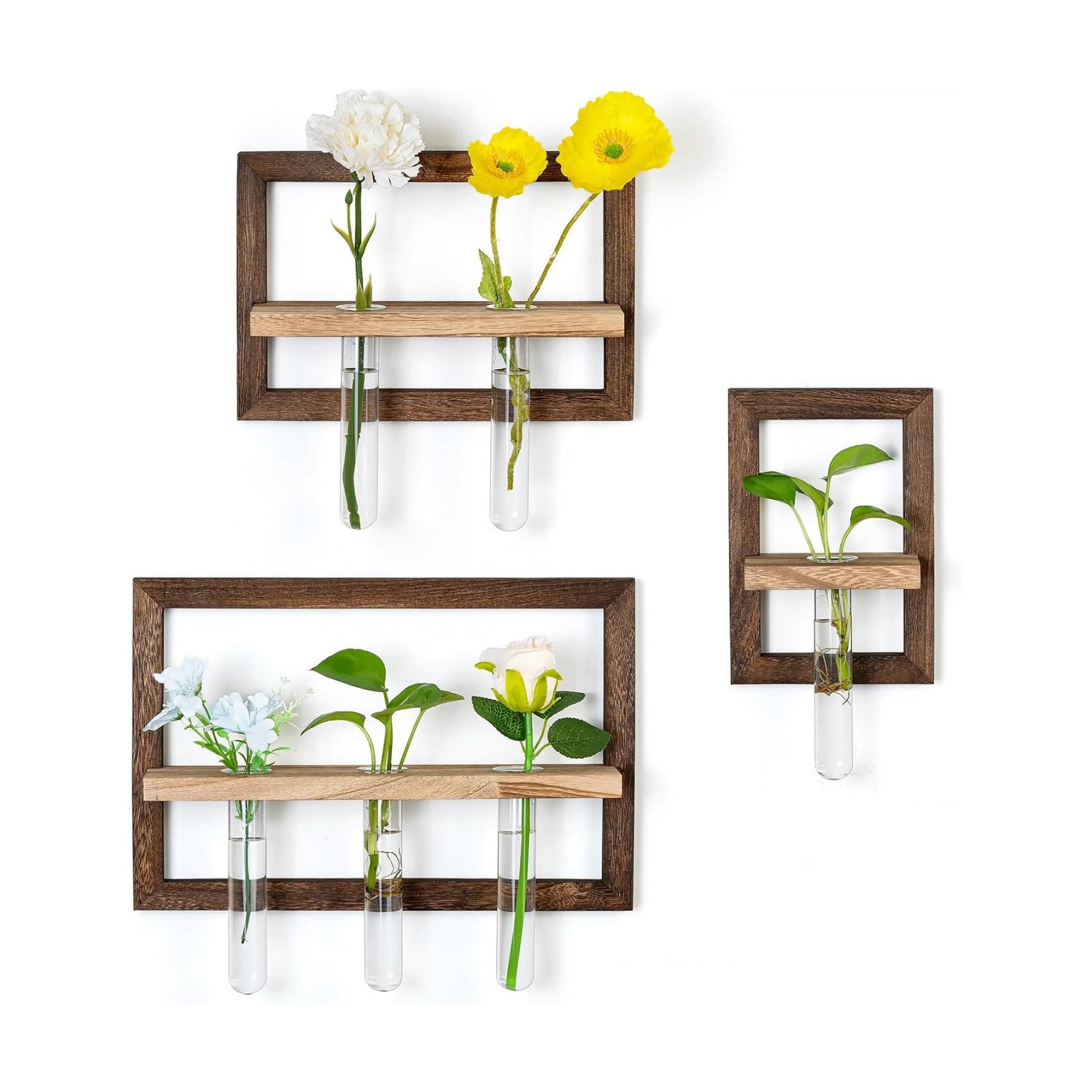 Wall Propagation Station Set with Glass Tubes | 3 Wood Wall Frames with 6 Borosilicate Glass Tubes for Plant Cuttings