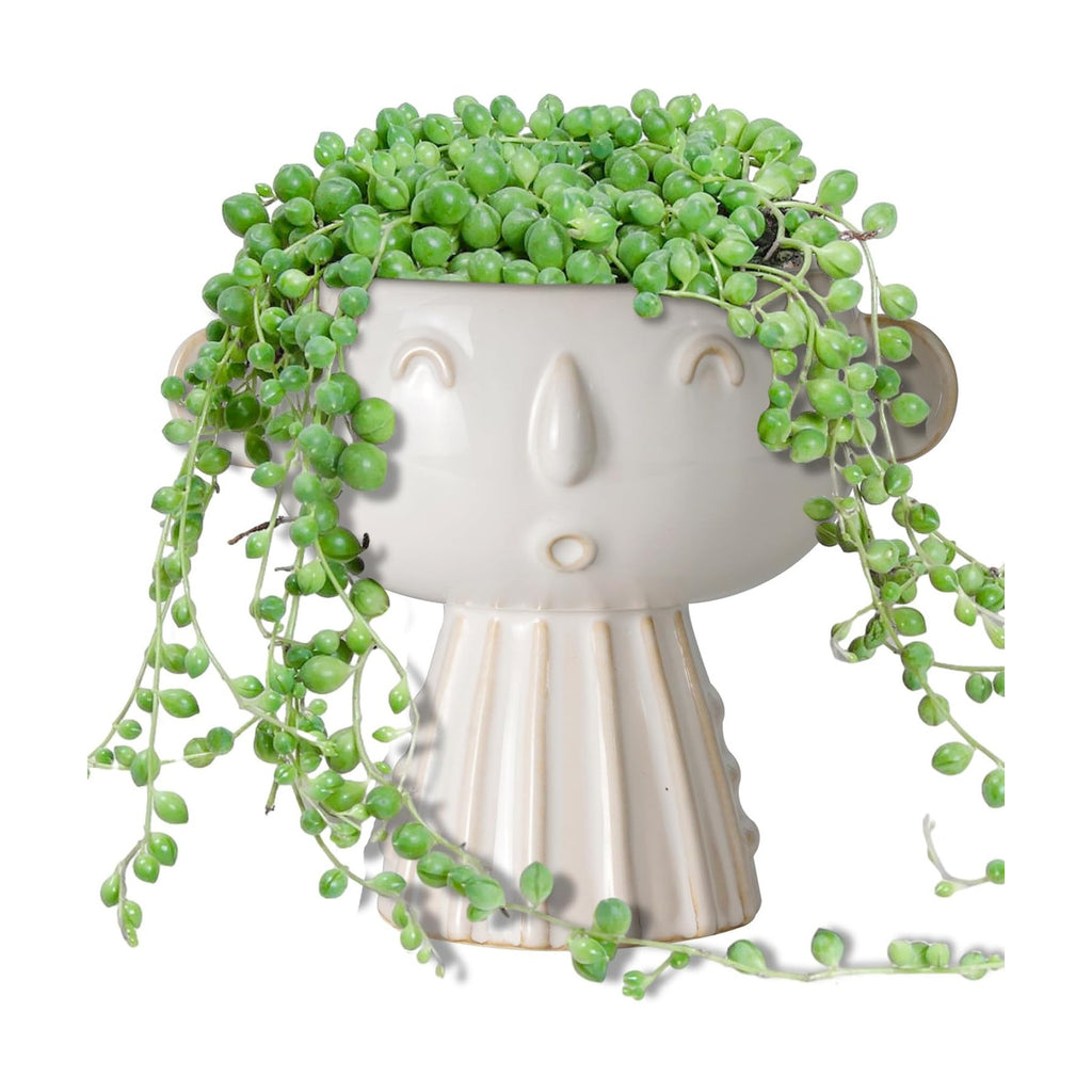 Face Planter Pot 7 Inch - Cute Ceramic Flower Head Planter for Indoor Outdoor Succulent Pot with Drainage Hole Flower