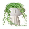 Face Planter Pot 7 Inch - Cute Ceramic Flower Head Planter for Indoor Outdoor Succulent Pot with Drainage Hole Flower