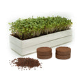 mizuna Microgreens Growing Kit — 2 Ceramic Trays, Coconut Coir & Seeds | Indoor Windowsill Grow Kit | Gift for Plant &