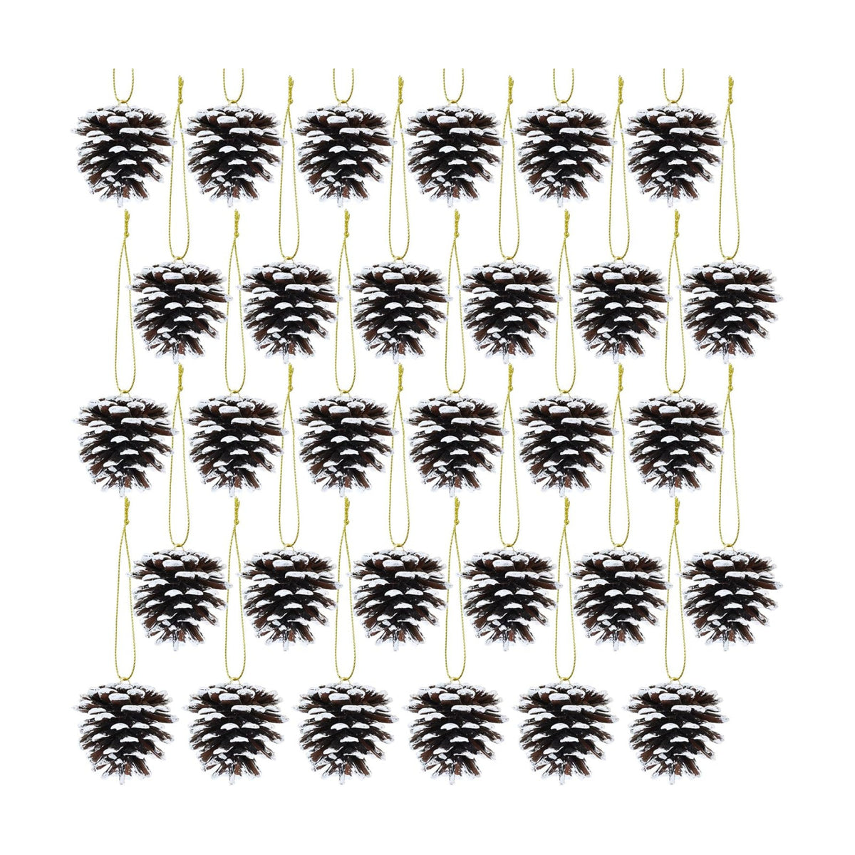 Winlyn 30 Pcs Frosted White Natural Pinecones Christmas Ornaments - Hanging With String for Tree Decorations, Winter Wedding, Holiday Party, DIY Craft, Seasonal Wreath