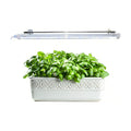 2FT Suction Cup Style Plant Grow Light,12W, LED Grow Lamp Fixture on wall, Seed Starter kit, 6500K Cool White, Enhanced