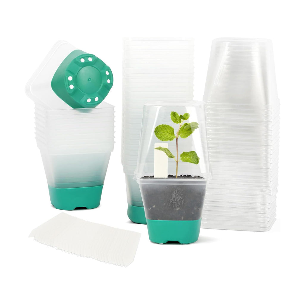 Sankoly 30 Packs Clear Nursery Pots with Plant Labels 3 Inch Plastic Plant Pot with Humidity Domes Silicone Base and Drainage Holes Reusable Seedling Pots