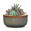 Plant Pots Indoor with Drainage Hole 6 inch Ceramic Plant Pot Sage Green Succulent Pot Small Round Planters for Indoor