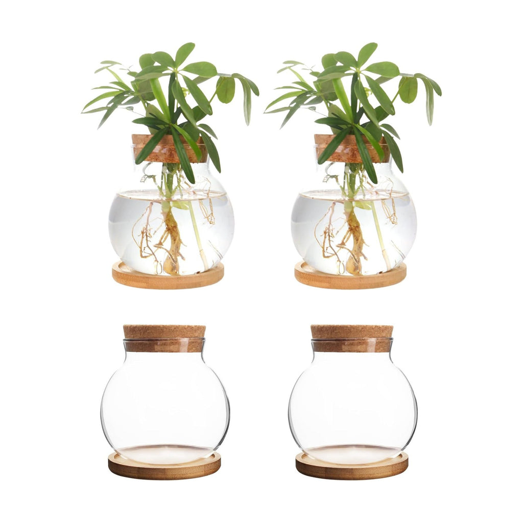 Plant Propagation Station,Hydroponic Glass Container Vase Jars, with Wooden Saucer for Desks, Houses, Garden
