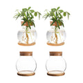 Plant Propagation Station,Hydroponic Glass Container Vase Jars, with Wooden Saucer for Desks, Houses, Garden