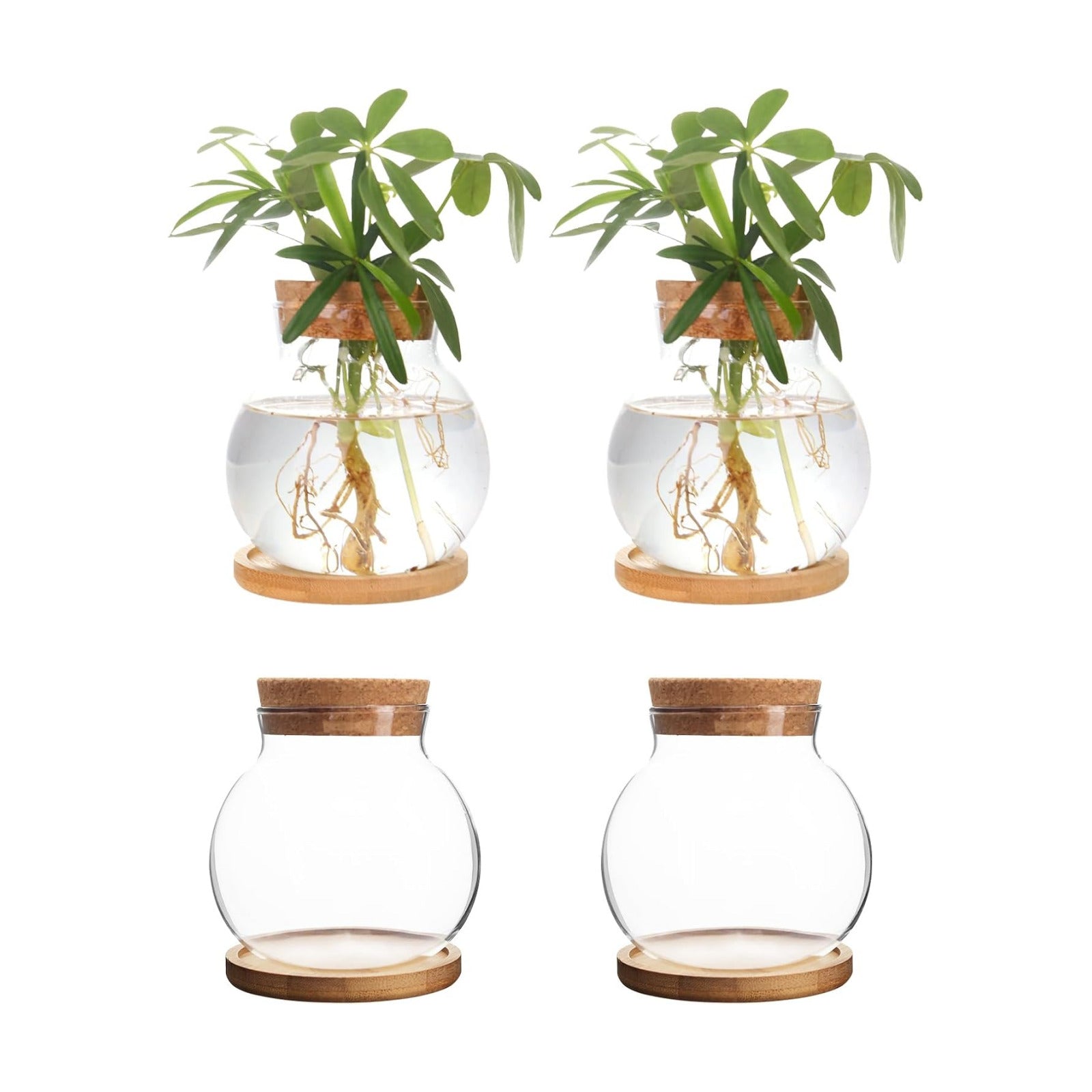 Plant Propagation Station,Hydroponic Glass Container Vase Jars, with Wooden Saucer for Desks, Houses, Garden