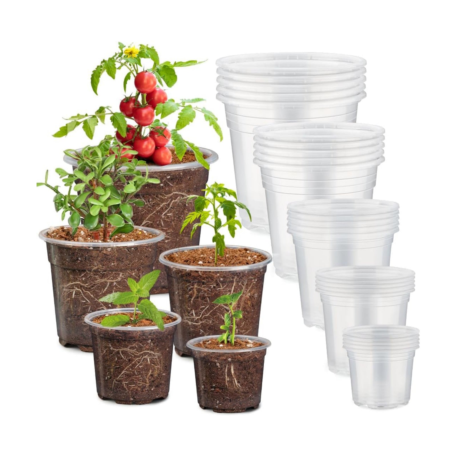 30 Pack 7/6/5/4/3 Inch Clear Nursery Pots for Plants, Flexible Plastic Plant Pots with Drainage Holes, Transparent Seed