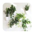 PlantPod Classic - Self-Watering Wall Planters (6, White) - Easy to Water and Install - Lightweight - Design Your Own
