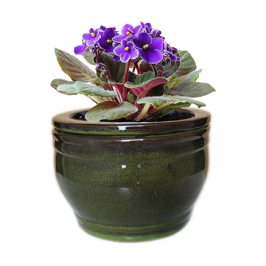 African Violet Pots Self Watering Round Ceramic Violet Pot (Olive drab, 6 inch)