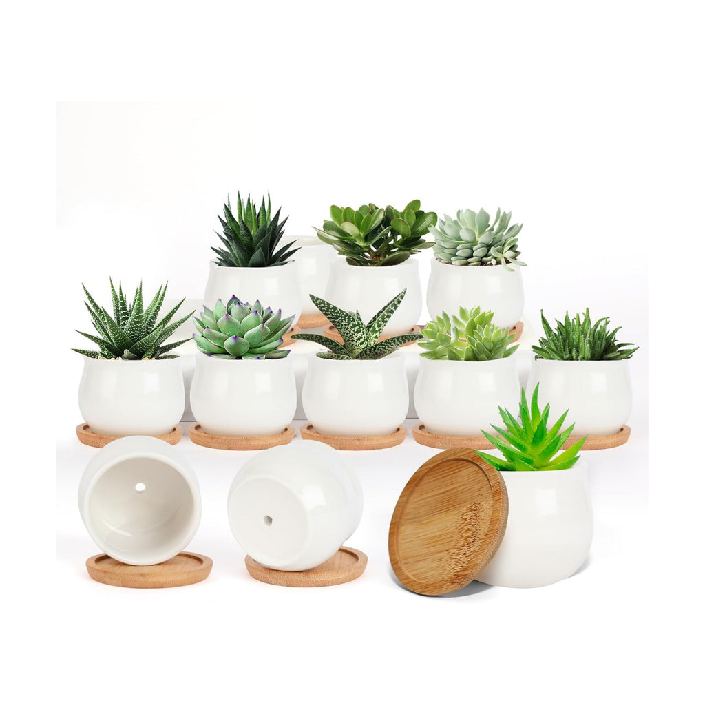 SHECIPIN Succulent Pots, White Mini 2.5 inch Ceramic Flower Planter Pot with Bamboo Tray, Pack of 12 - Plants Not