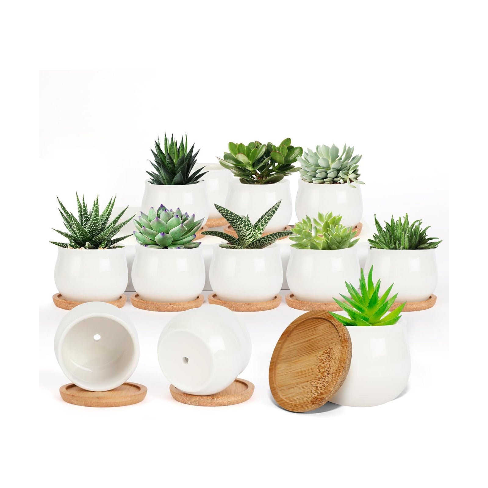 SHECIPIN Succulent Pots, White Mini 2.5 inch Ceramic Flower Planter Pot with Bamboo Tray, Pack of 12 - Plants Not