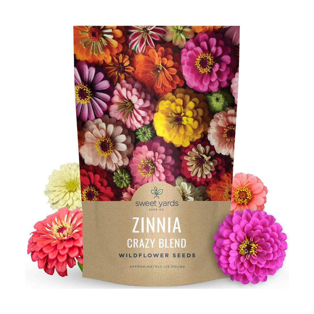 Zinnia Crazy Blend - Bulk 1/4 Pound Pouch - 15,000 Flower Seeds for Planting - Zinnia elegans