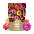 Zinnia Crazy Blend - Bulk 1/4 Pound Pouch - 15,000 Flower Seeds for Planting - Zinnia elegans