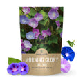 Morning Glory Tall Mix - Bulk 1/4 Pound Pouch - 3,000 Flower Seeds for Planting - Ipomoea purpurea