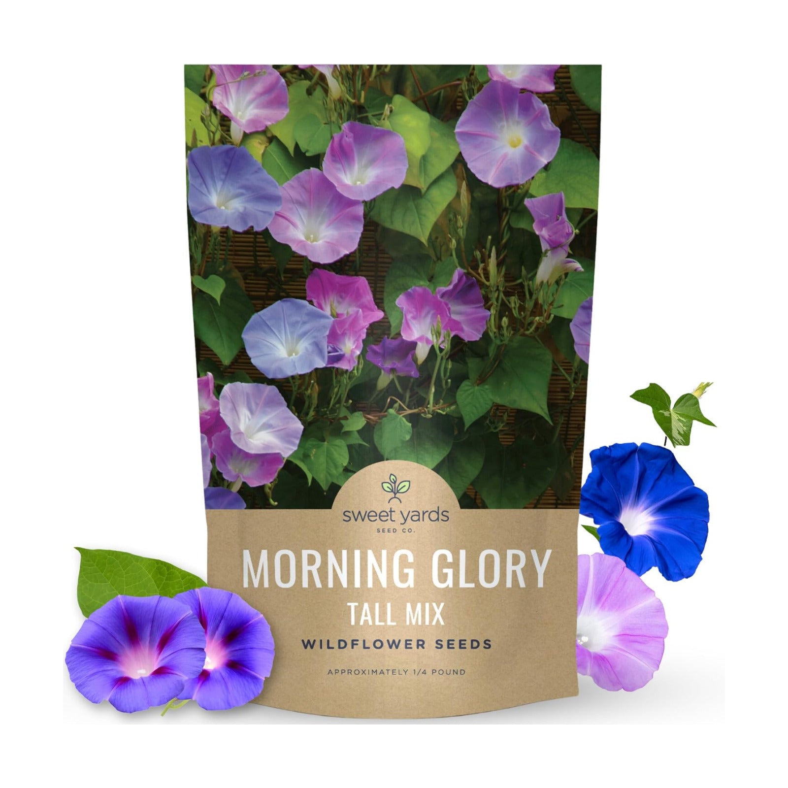 Morning Glory Tall Mix - Bulk 1/4 Pound Pouch - 3,000 Flower Seeds for Planting - Ipomoea purpurea