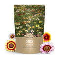 Painted Daisy - Bulk 1/4 Pound Pouch - 40,000 Flower Seeds for Planting - Chrysanthemum carinatum