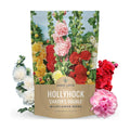 Hollyhock 'Chater's Double' Mix - Bulk 2 Ounce Pouch - 6,000 Flower Seeds for Planting - Alcea rosea