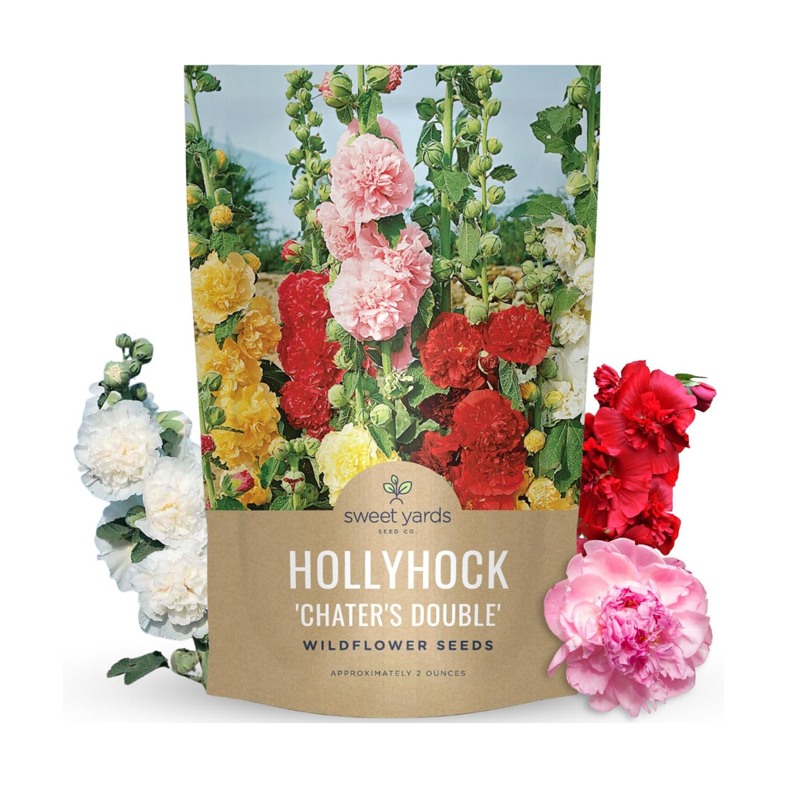 Hollyhock 'Chater's Double' Mix - Bulk 2 Ounce Pouch - 6,000 Flower Seeds for Planting - Alcea rosea