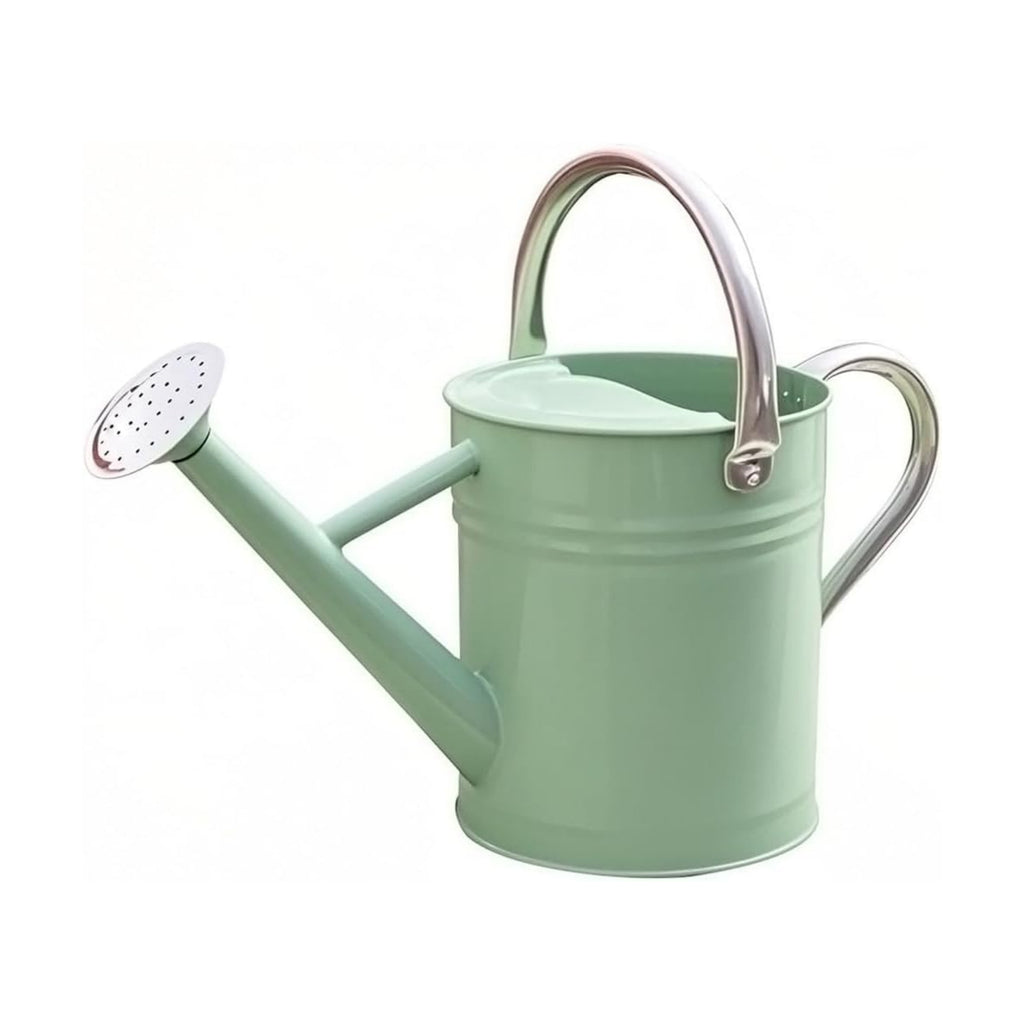 Metal Watering Can 1 Gallon for Outdoor Garden Plants, CGreen | Watering Cans Stainless Steel Handhold with Removable