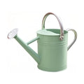 Metal Watering Can 1 Gallon for Outdoor Garden Plants, CGreen | Watering Cans Stainless Steel Handhold with Removable