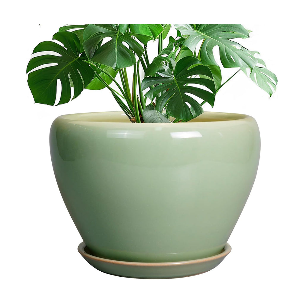 Ceramicfor Ceramic Planter Pot - 10 Inch Plant Pot for Indoor Plants Decorative Planter with Drainage Hole and Saucer