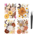 90pcs Boho Pressed Flowers Bulk, Vintage Dried Flower Leaves, Natural Fall Pressed Dried Flowers with Tweezer for DIY Crafts Resin Mold Candles Cake Bridal Scrapbooking Supplies