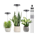 LORDEM Full Spectrum LED Grow Light for Indoor Plants, Black, 3 Packs