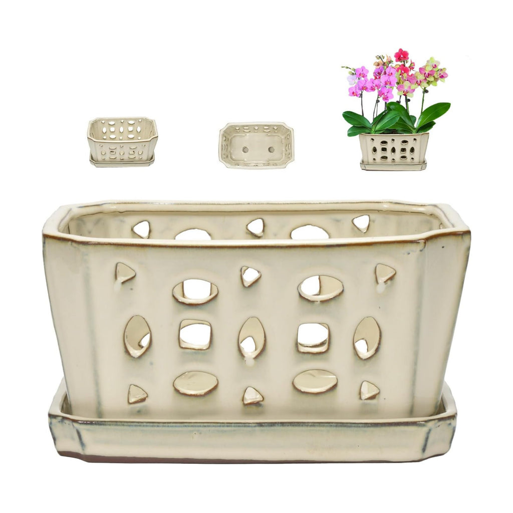 W&W Orchid Pot with Holes and Saucer for Repotting, Cream White, 9.7 Inch