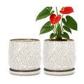 D'vine Dev 2-Pack Embossed Leaves Planter, 6 in, Smoked White, 27-F-X-1 | Nature-Inspired Leaf Pattern, Handcrafted