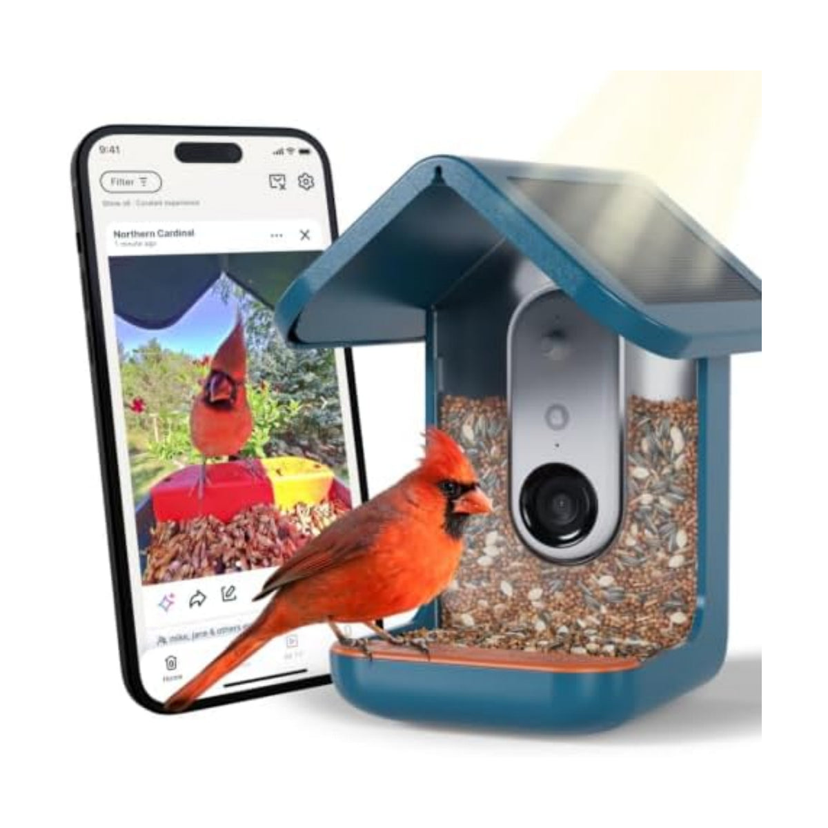 Birdbuddy Pro Solar Smart Bird Feeder with Camera, AI Bird ID, 2K Video
