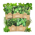 Organic Herb Seeds Variety Pack - 5 Individual Packs - 2026 Season - Basil, Oregano, Dill, Thyme & Parsley. for Indoor & Outdoor Planting (Non-GMO, Certified Organic)