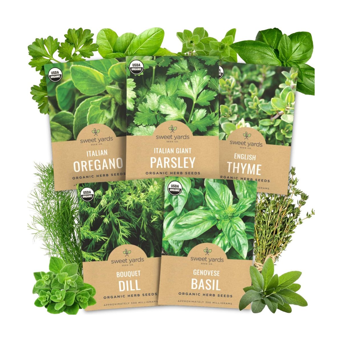 Organic Herb Seeds Variety Pack - 5 Individual Packs - 2026 Season - Basil, Oregano, Dill, Thyme & Parsley. for Indoor & Outdoor Planting (Non-GMO, Certified Organic)
