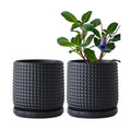 D'vine Dev 2-Pack Beaded Ceramic Pots, 6 in, Ebony Matte, 27-E-X-6 | Embossed Dot Texture, Smooth Glazed Finish